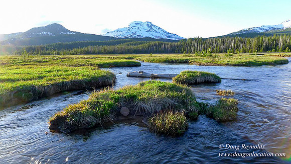 Sparks Creek