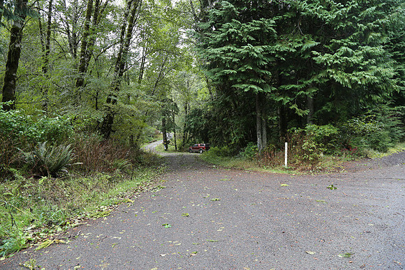 Shields Rd-0144
