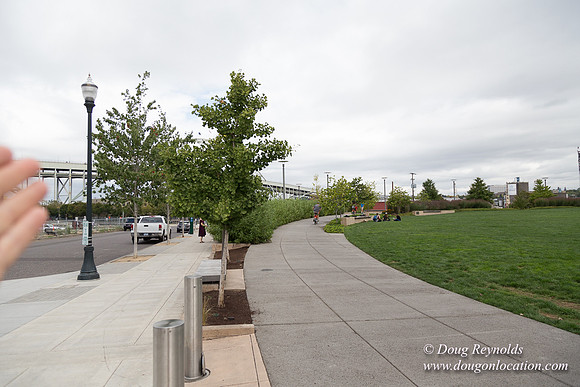 The Fields Park