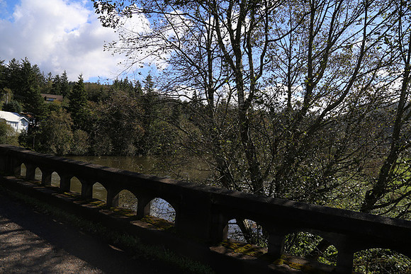 Hwy 53 Nehalem Brdg-1274