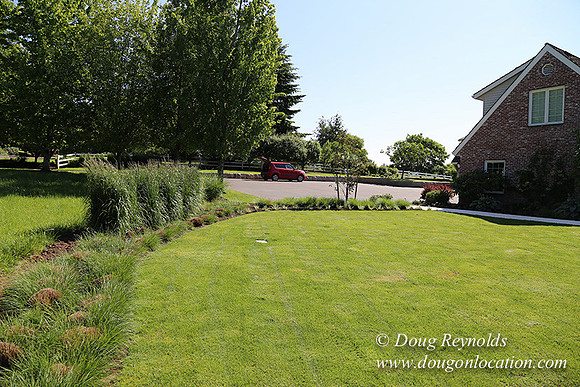 Charlie's  House-5641