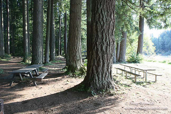 Roslyn Cabin