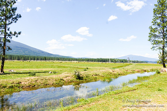 Ranch 18