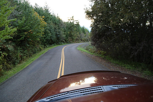 Woodland Ln-1766