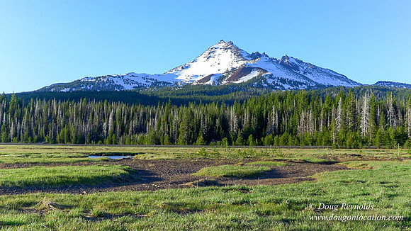 Sparks Creek