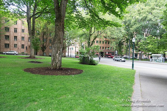 Portland Streets