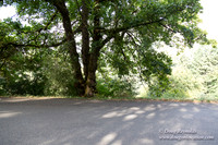 Mt tabor View 2 East