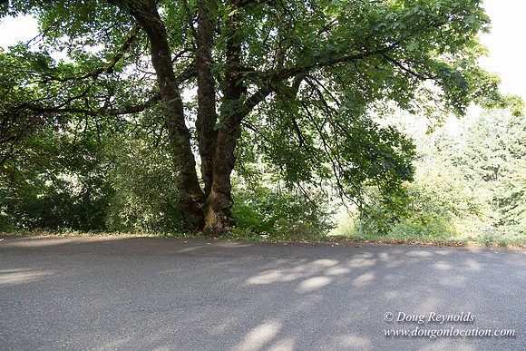 Mt tabor View 2 East