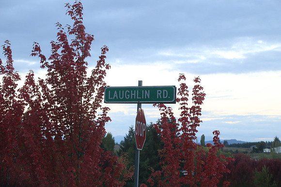 Woodland Ln-1792