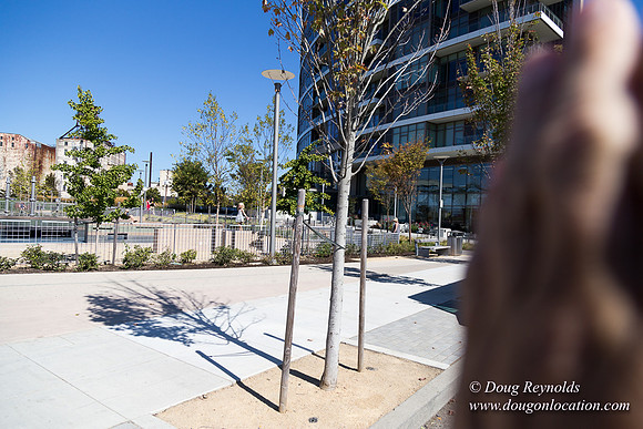 The Fields Neighborhood Park