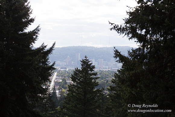 Mt Tabor Top- View 3 West