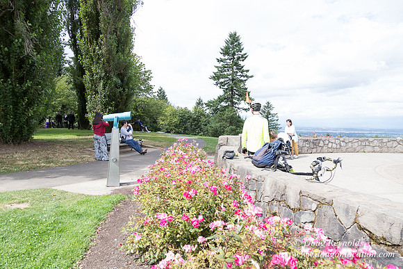 Council Crest Park View