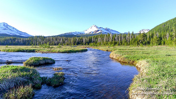 Sparks Creek
