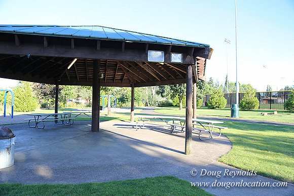 Lincoln Park-0643