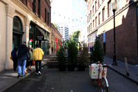 Akany Alley-5234