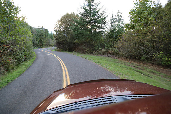 Woodland Ln-1765
