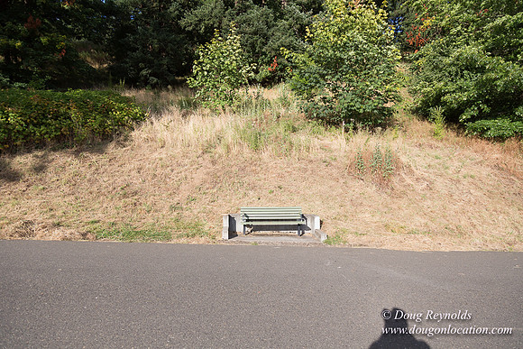 Mt Tabor- View 4 West