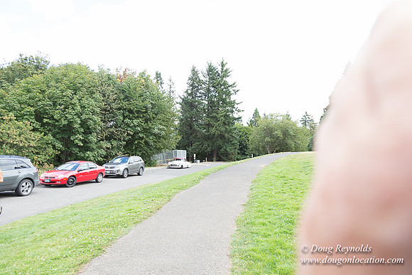 Council Crest Park View