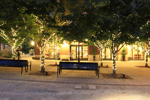 Jamason Park-6555