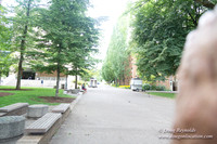 Portland Streets