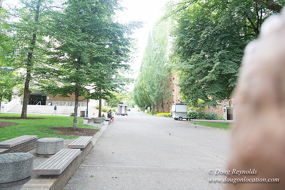 Portland Streets