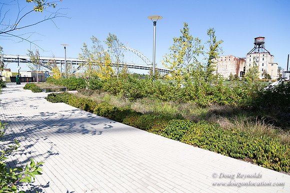 The Fields Neighborhood Park