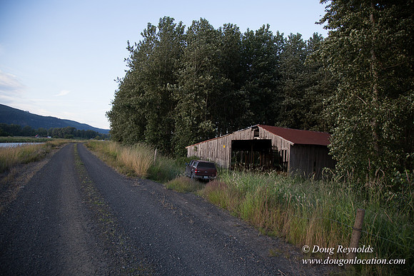 LCG & GWG Tree Farm