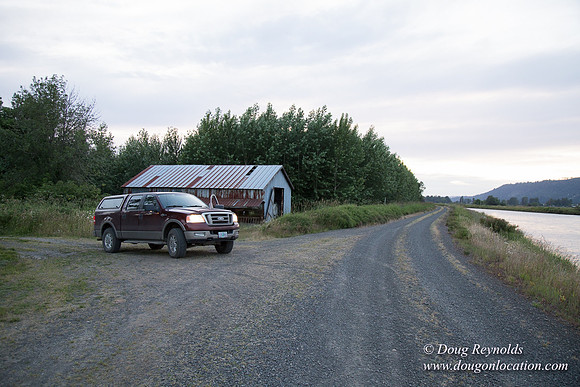 LCG & GWG Tree Farm