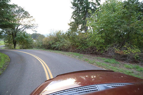 Woodland Ln-1773