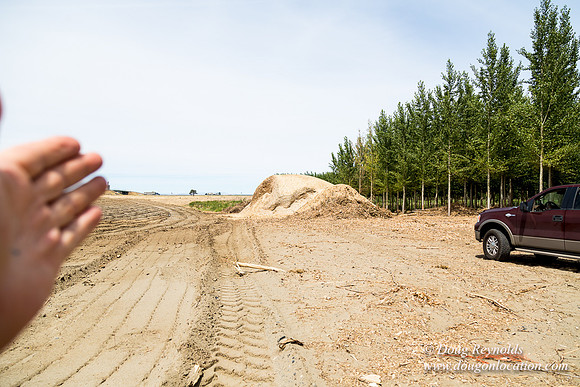 Tree Farm