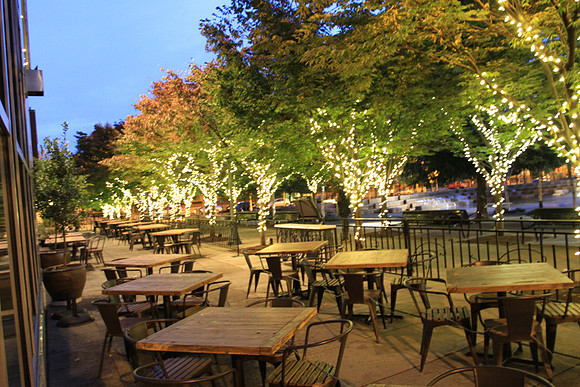 Jamason Park-6572