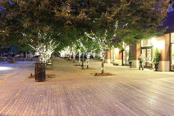 Jamason Park-6558