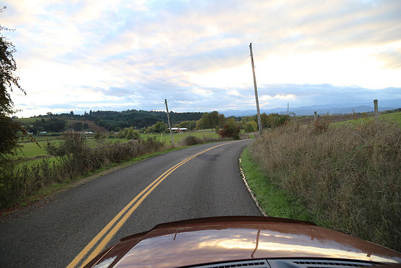Woodland Ln-1784