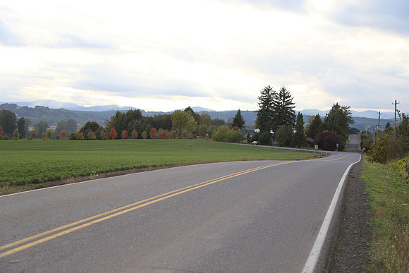 Morres Valley Rd-1680