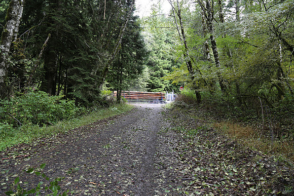 Shields Rd-0152