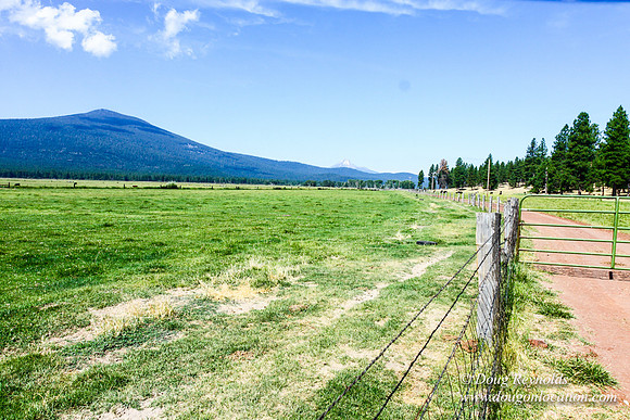 Ranch 18
