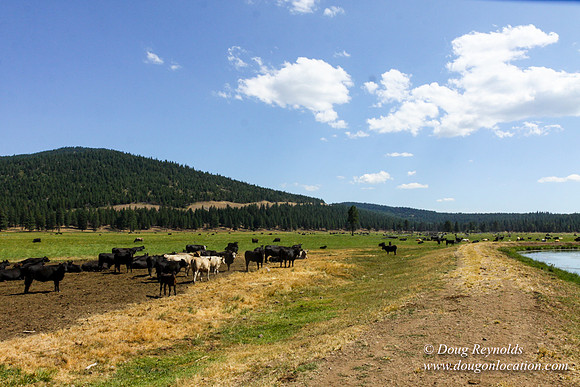 Ranch 18