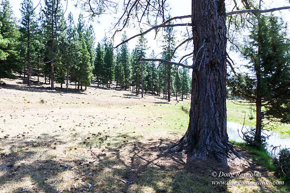 Ranch 18