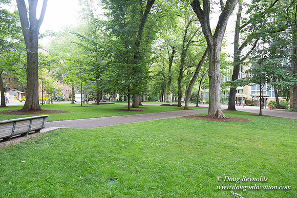 Portland Streets