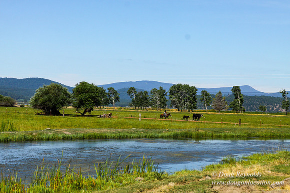 Ranch 18
