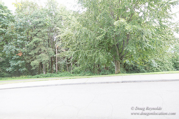 Council Crest Park View