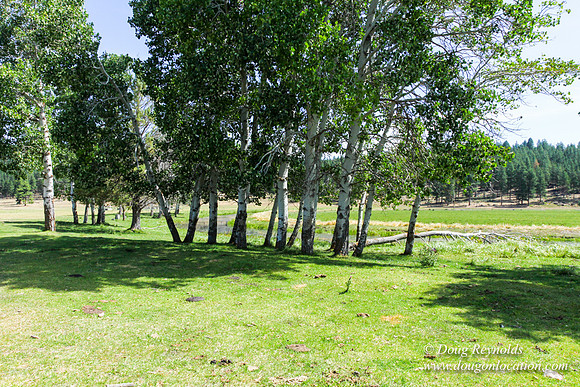 Ranch 18