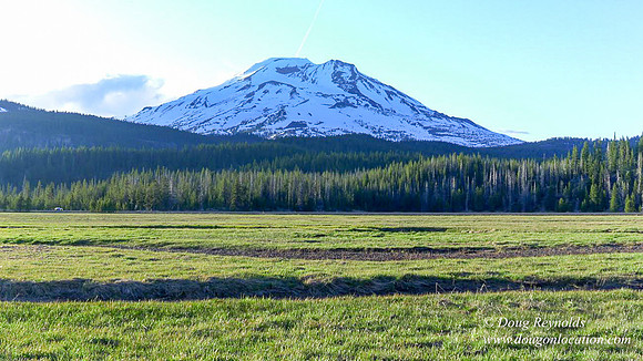 Sparks Creek