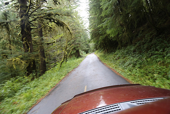Saddle Mt Rd-0334
