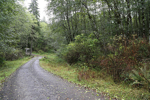 Shields Rd-0157