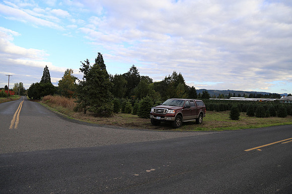 Dilly Rd-1560