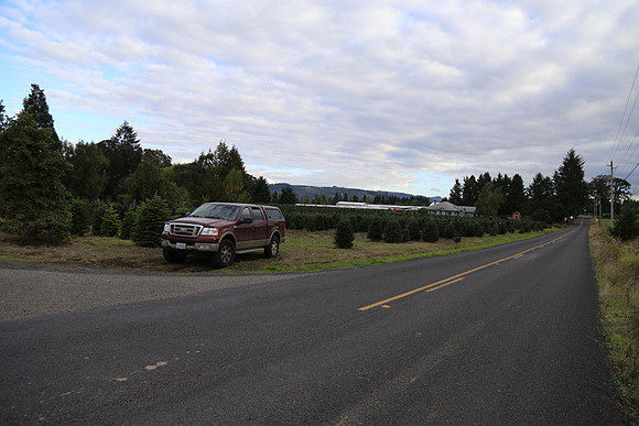 Dilly Rd-1561