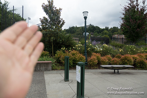 Portland Streets