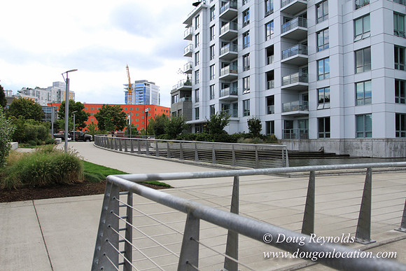 NW Waterfront-2913