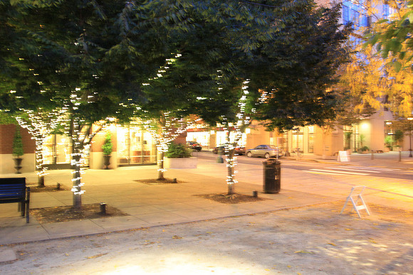Jamason Park-6557